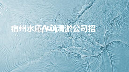宿州水庫(kù)清淤公司招聘：解鎖水域奇跡，加入我們！